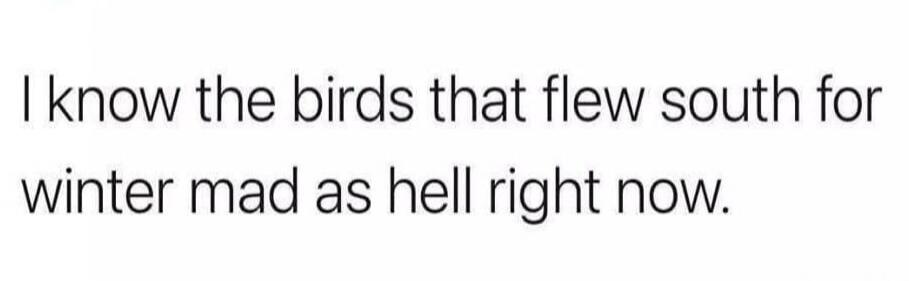 I know the birds that flew south for winter mad as hell right now. Session ID: 1077492.