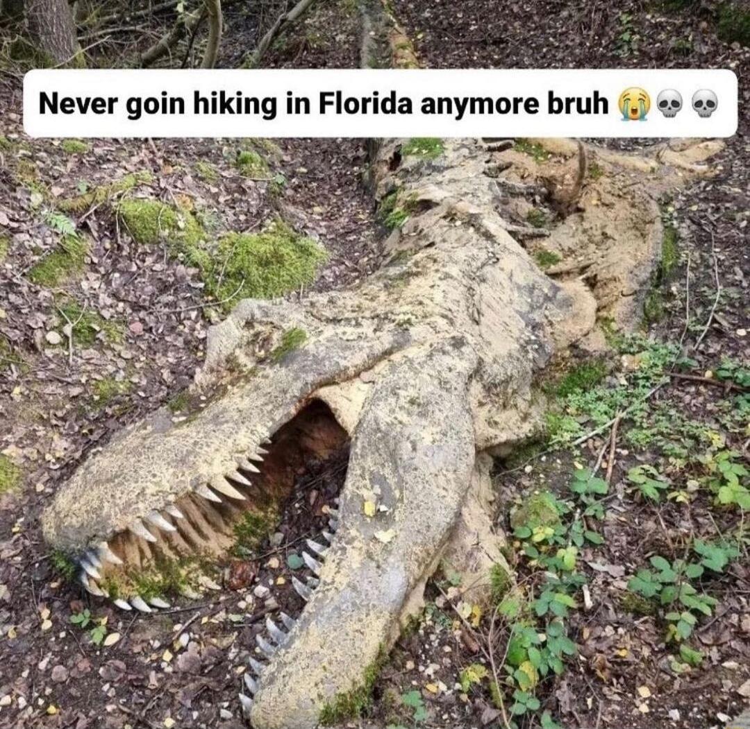 ing in Florida anymore bruh e o e