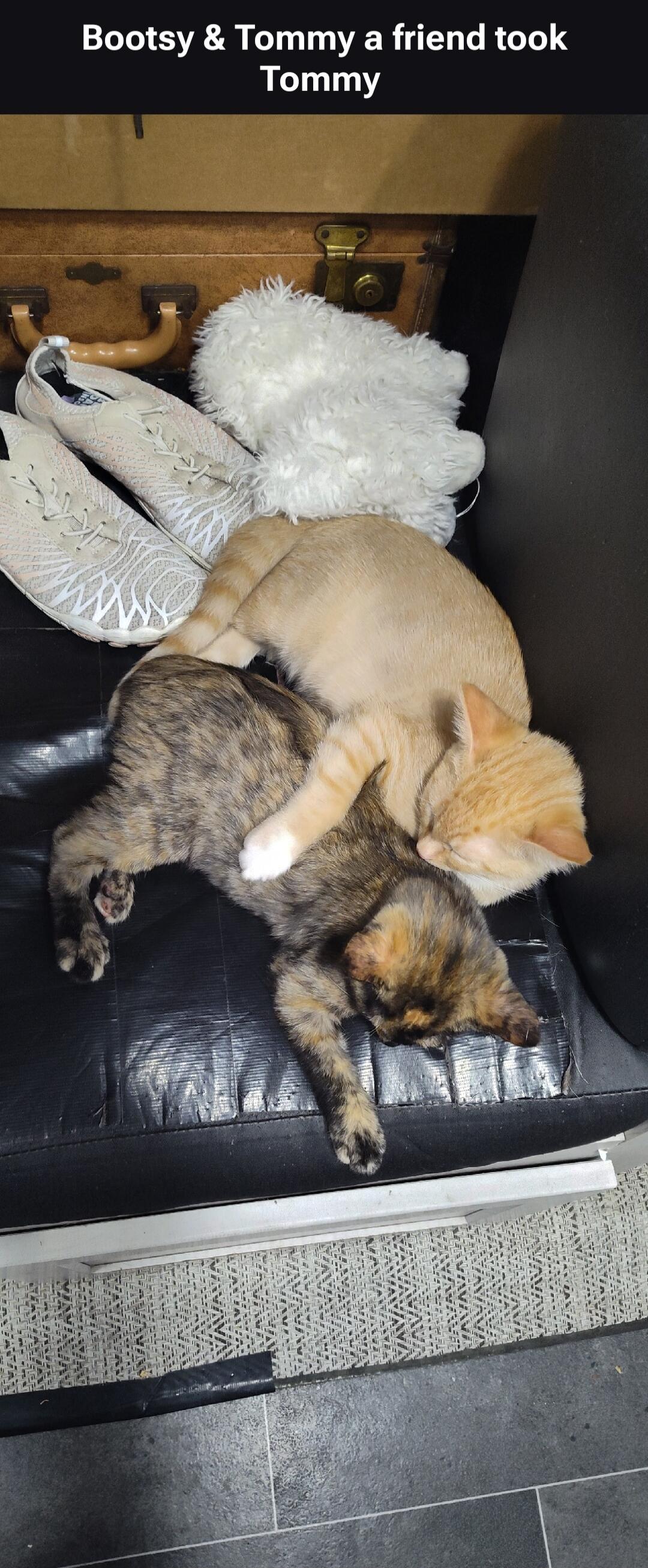 Bootsy & Tommy a friend took Tommy