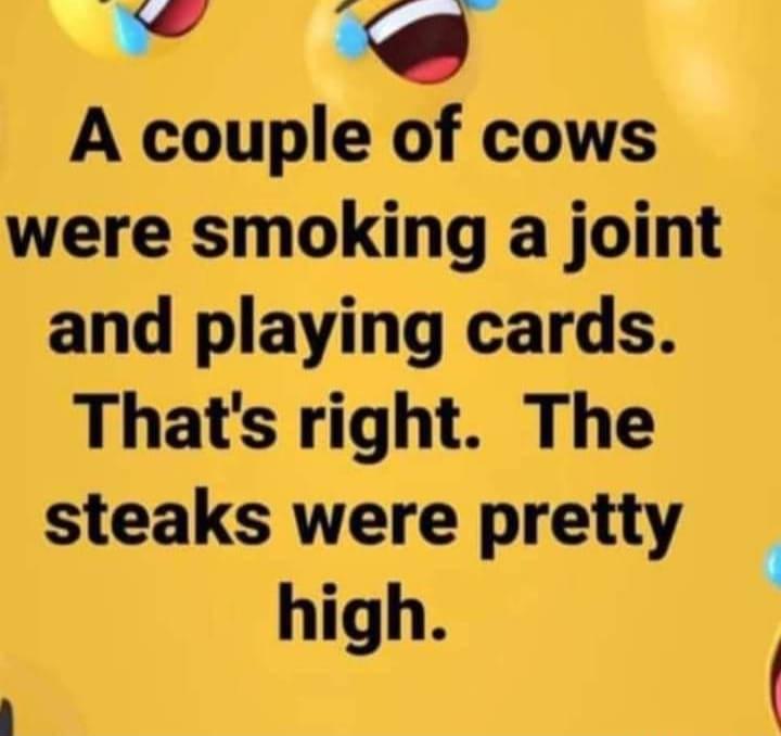 A couple of cows were smoking a joint and playing cards Thats right The steaks were pretty high