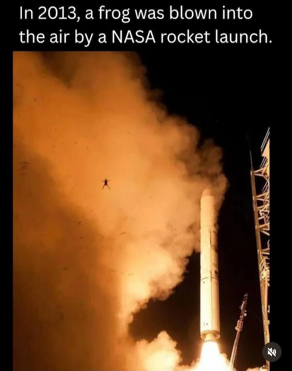 In 2013, a frog was blown into the air by a NASA rocket launch.