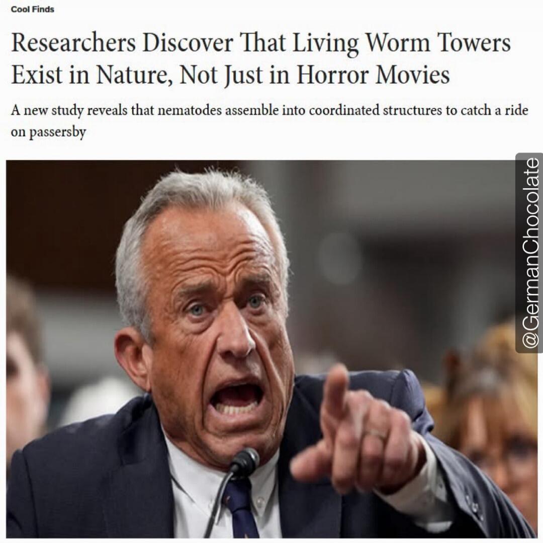 Cool Finds. Researchers Discover That Living Worm Towers Exist in Nature, Not Just in Horror Movies. A new study reveals that nematodes assemble into coordinated structures to catch a ride on passersby. A man with a shocked and pointing expression is shown.