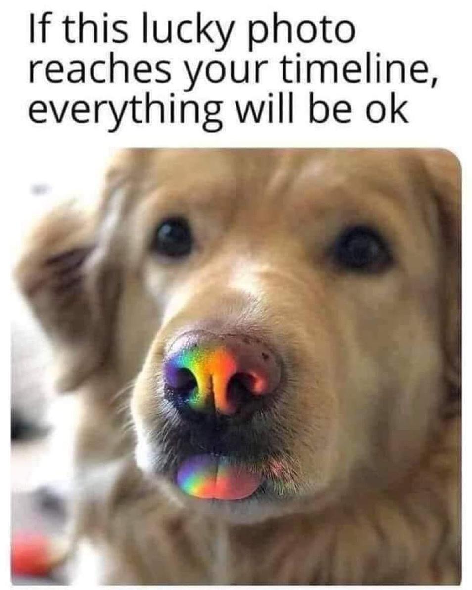 If this lucky photo reaches your timeline everything will be ok