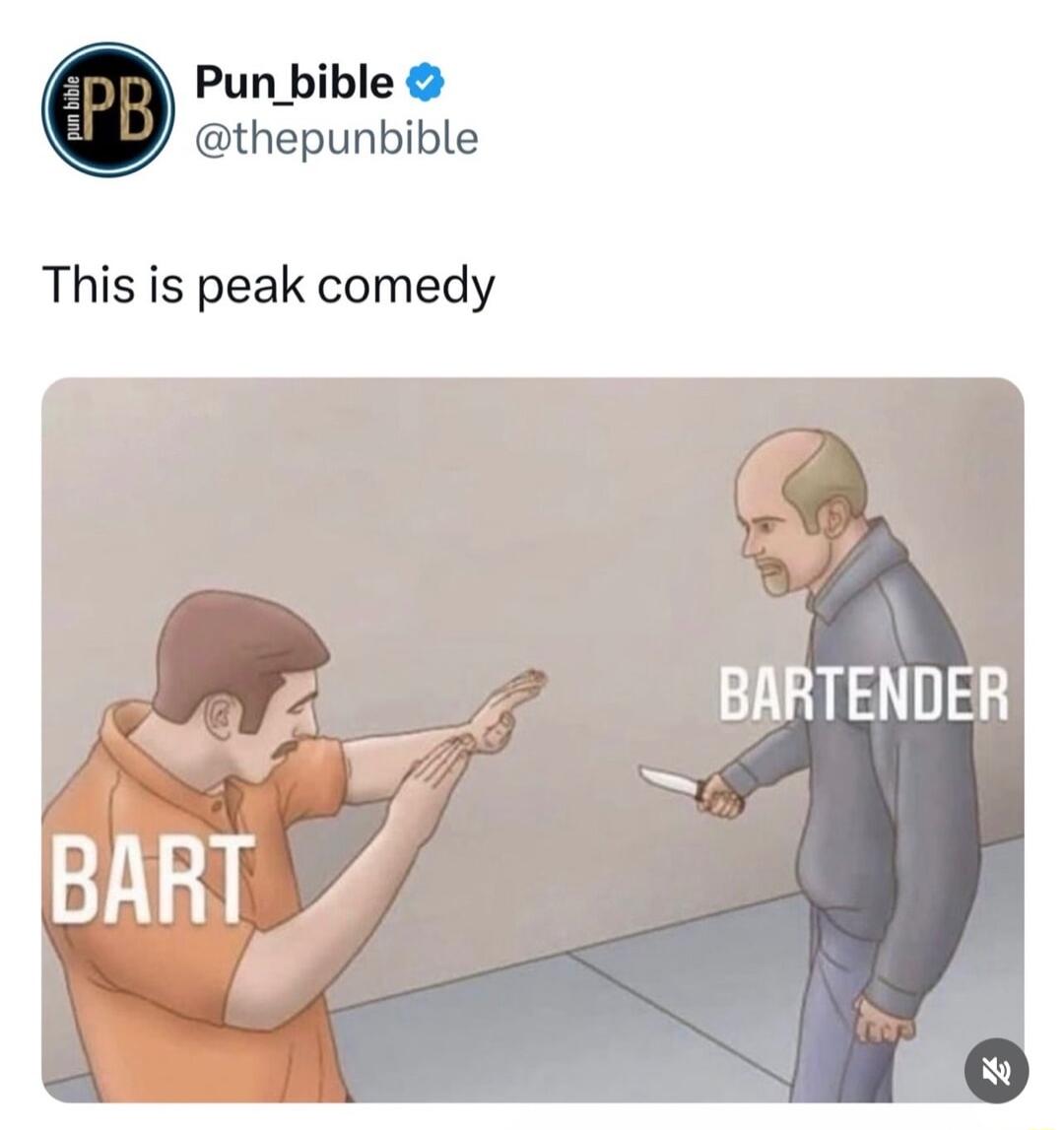 Pun bible thepunbible This is peak comedy BARTENDER