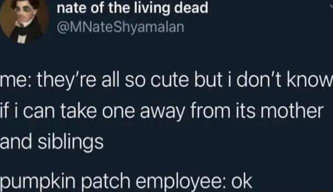 LEICK R UL Re R o V NEICSETREIED NERGEACEEoXelli oIV i Ko oo R A alol if i can take one away from its mother and siblings pumpkin patch employee ok