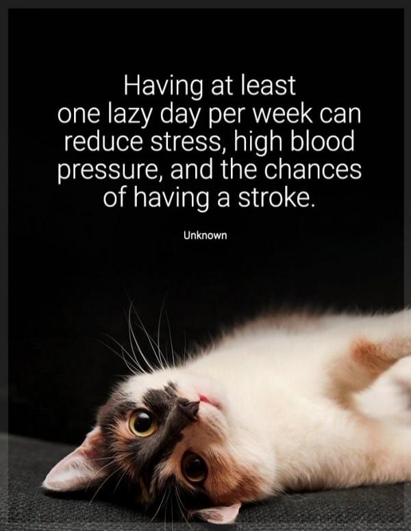 Having at least one lazy day per week can reduce stress, high blood pressure, and the chances of having a stroke. Unknown