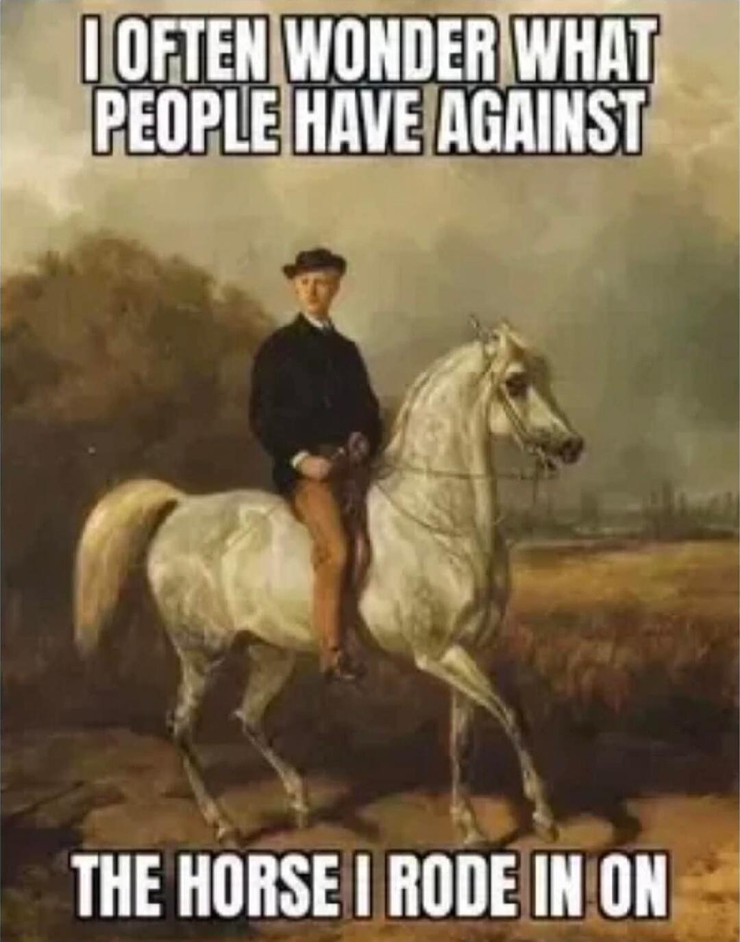 I OFTEN WONDER WHAT PEOPLE HAVE AGAINST THE HORSE I RODE IN ON