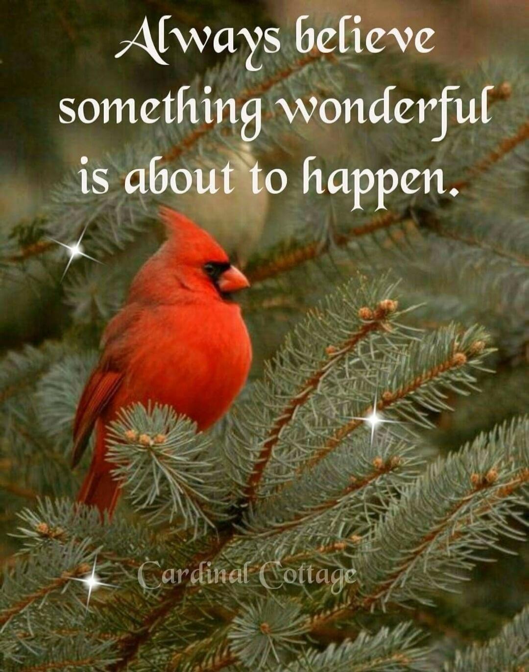 Always believe something wonderful is about to happen.