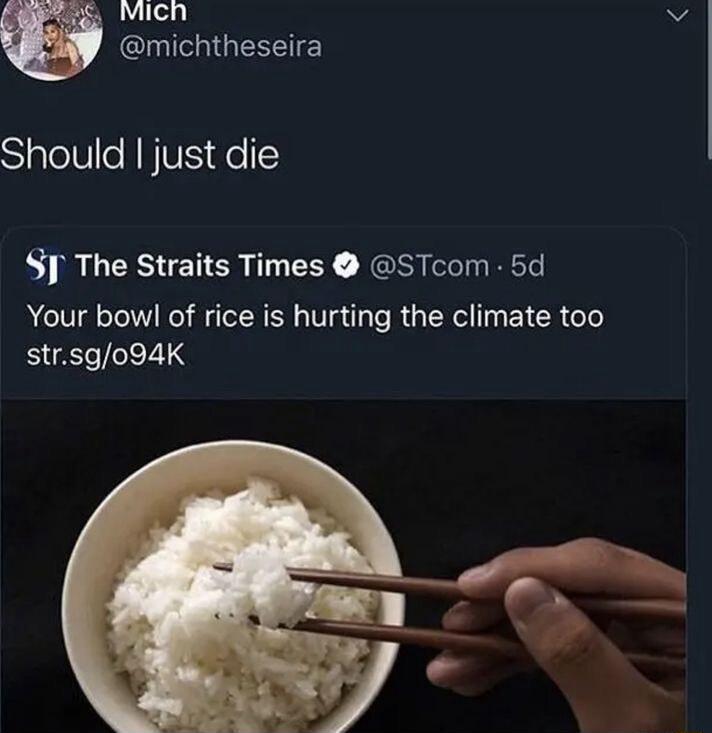 Mich v CluRIGESE SialelVe NNV el S The Straits Times STcom 5d YYour bowl of rice is hurting the climate too strsg094K