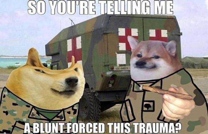 NBIUNTFORCED THISTRAUMA2