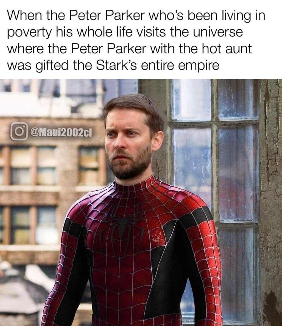 When the Peter Parker whos been living in poverty his whole life visits the universe where the Peter Parker with the hot aunt was gifted the Starks entire empire