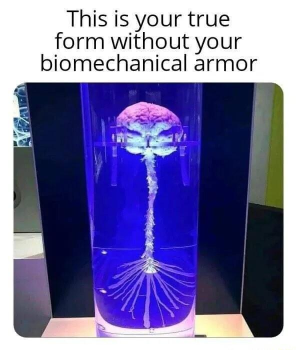 This is your true form without your biomechanical armor