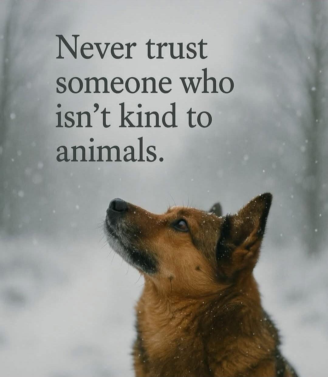 Never trust someone who isn't kind to animals.