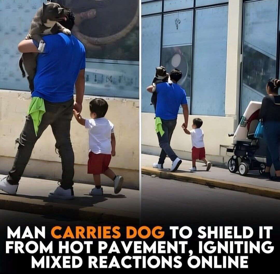 MAN CARRIES DOG TO SHIELD IT FROM HOT PAVEMENT, IGNITING MIXED REACTIONS ONLINE