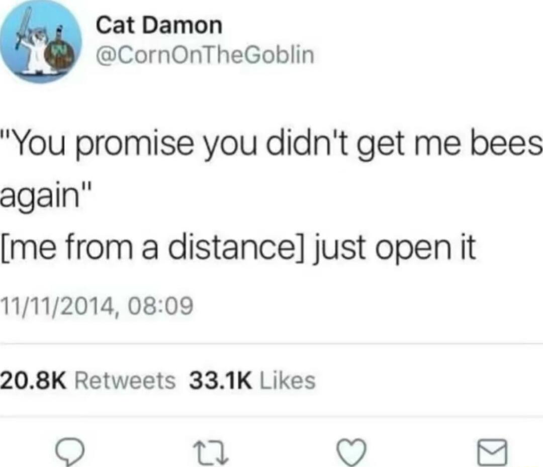 Cat Damon CornOnTheGoblin You promise you didnt get me bees again me from a distance just open it 11112014 0809 208K Retweets 331K Likes 1 W