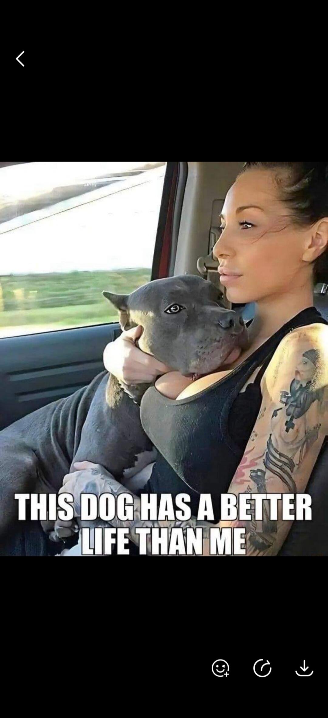 THIS DOG HAS A BETTER LIFE THAN ME