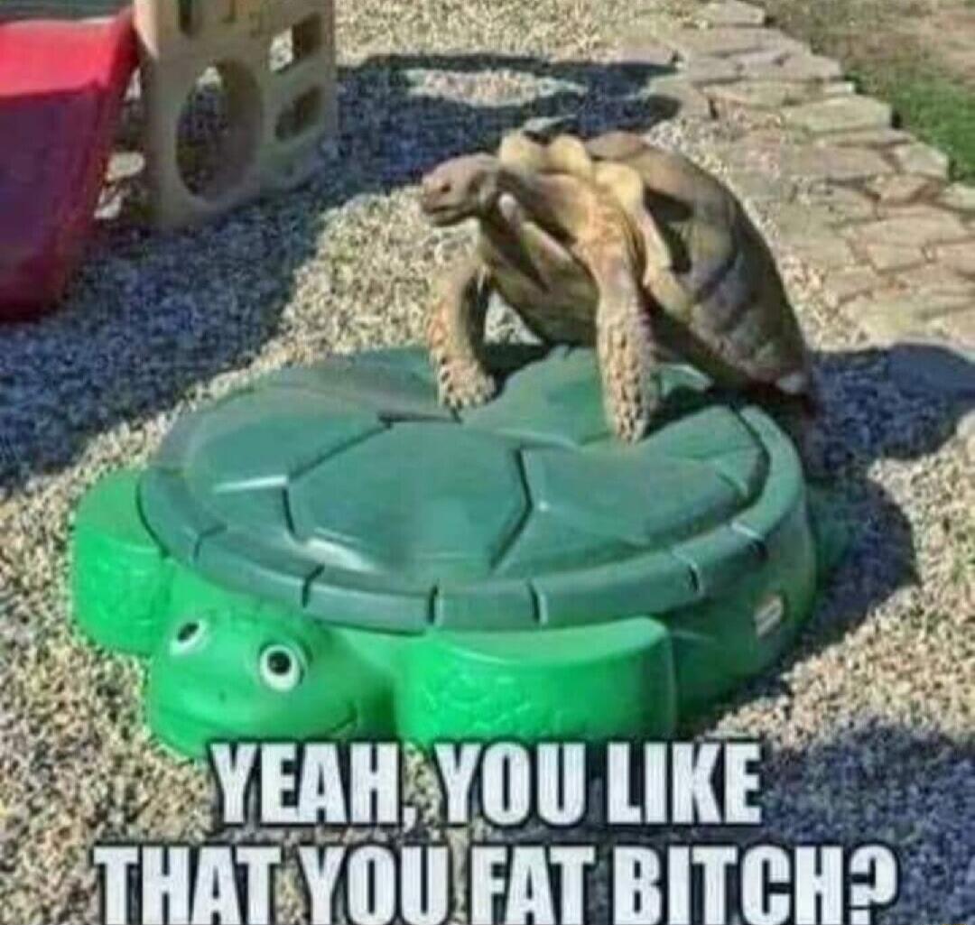 AYEAHYOU LIKE THATVOUEAT RITCHO