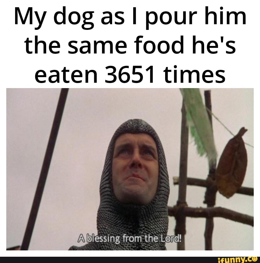 My dog as pour him the same food hes eaten 3651 times PaXEressing from the Ltd