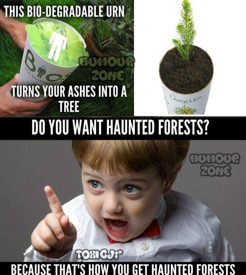THIS BI0 DEGRADABLE URN ALY YUUR ASHES INTO A TREE D0 YOU WANT HAUNTED FORESTS l TORIC BEBAUSE THATS HOW YOU RET HAUNTED FORESTS