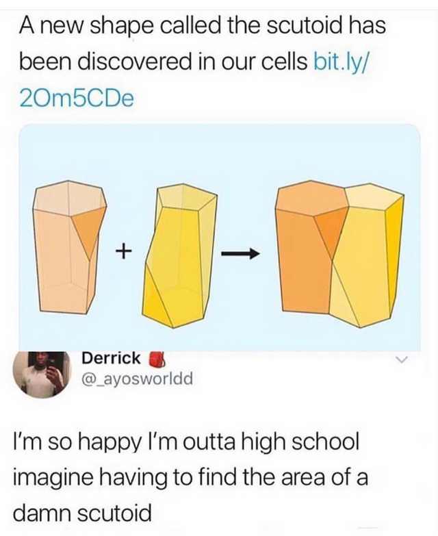 A new shape called the scutoid has been discovered in our cells bitly 20m5CDe Derrlck _ayosworldd Im so happy Im outta high school imagine having to find the area of a damn scutoid