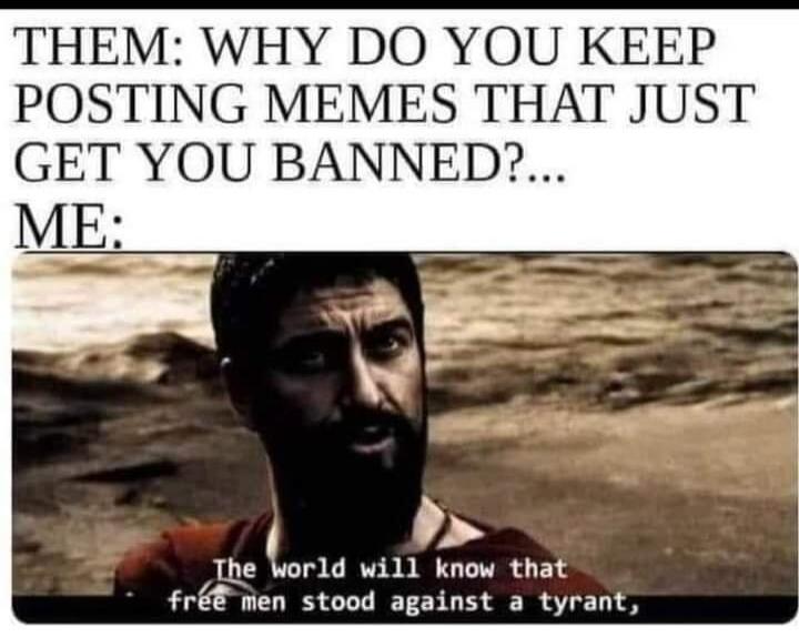 THEM: WHY DO YOU KEEP POSTING MEMES THAT JUST GET YOU BANNED?... ME: The world will know that free men stood against a tyrant,