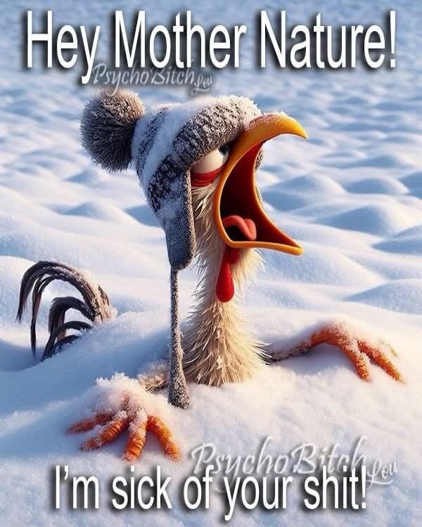 Hey Mother Nature! I'm sick of your shit!