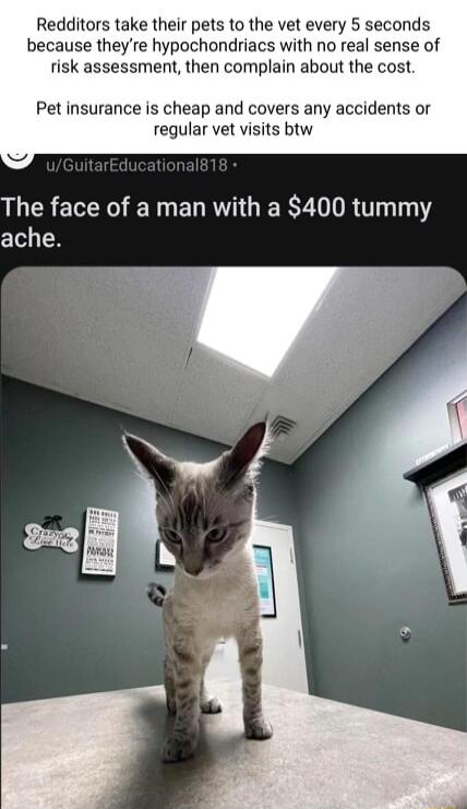 Redditors take their pets to the vet every 5 seconds because theyre hypochondriacs with no real sense of risk assessment then complain about the cost Pet insurance is cheap and covers any accidents or regular vet visits btw The face of a man with a 400 tummy ache