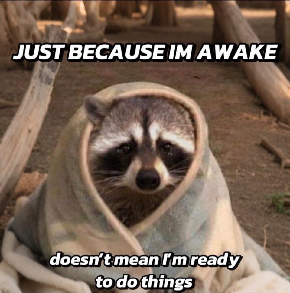 JUST BECAUSE IM AWAKE doesn't mean I'm ready to do things