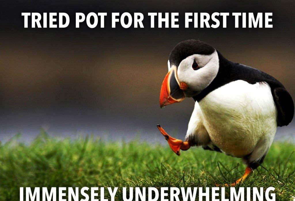 TRIED POT FOR THE FIRST TIME IMMENSELY U