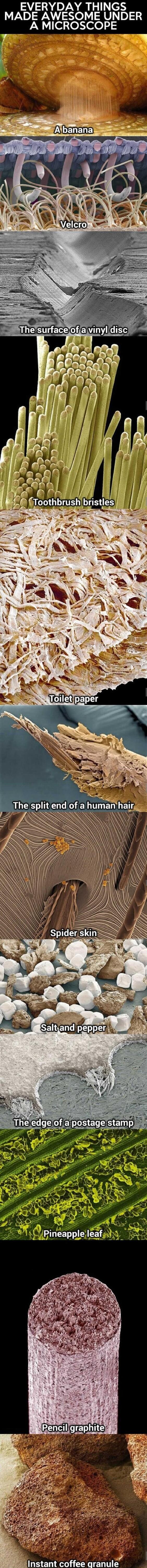 EVERYDAY THINGS MADE AWESOME UNDER A MICROSCOPE Saltiandpepper I Flnappleileafg pEae