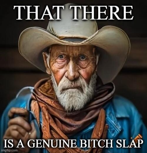 THAT THERE IS A GENUINE BITCH SLAP