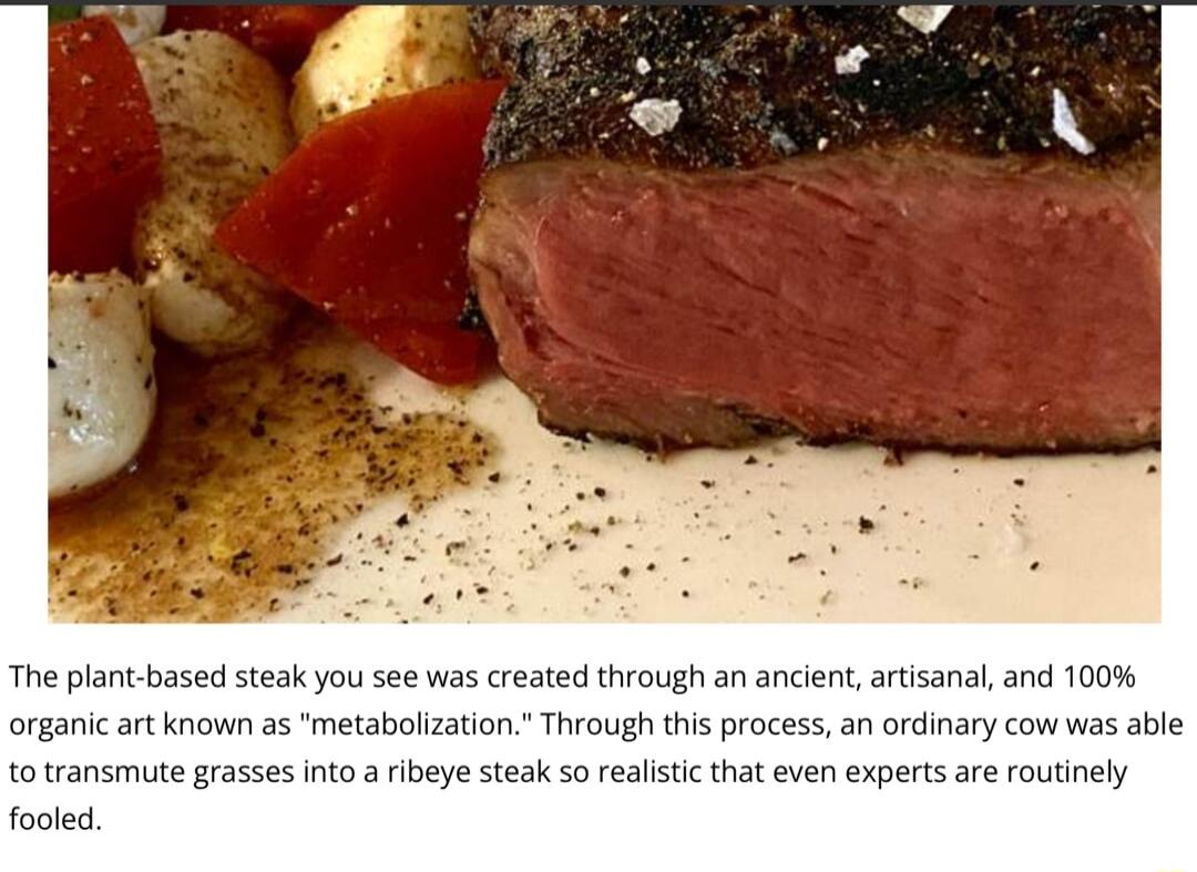 The plant based steak you see was created through an ancient artisanal and 100 organic art known as metabolization Through this process an ordina a5 able o transmute grasses into a ribeye steak so eallstic t tinely ed