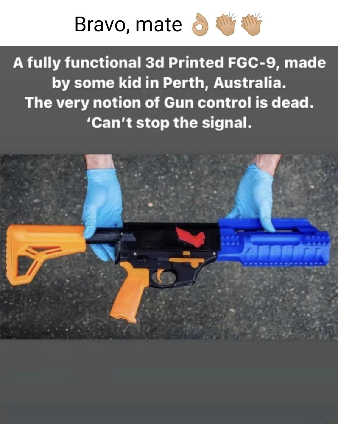 Bravo mate A fully functional 3d Printed FGC 9 made VELTCR GG G U EER The very notion of Gun control is dead Cant stop the signal o