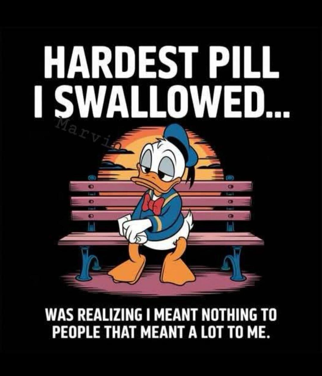 HARDEST PILL I SWALLOWED... WAS REALIZING I MEANT NOTHING TO PEOPLE THAT MEANT A LOT TO ME.