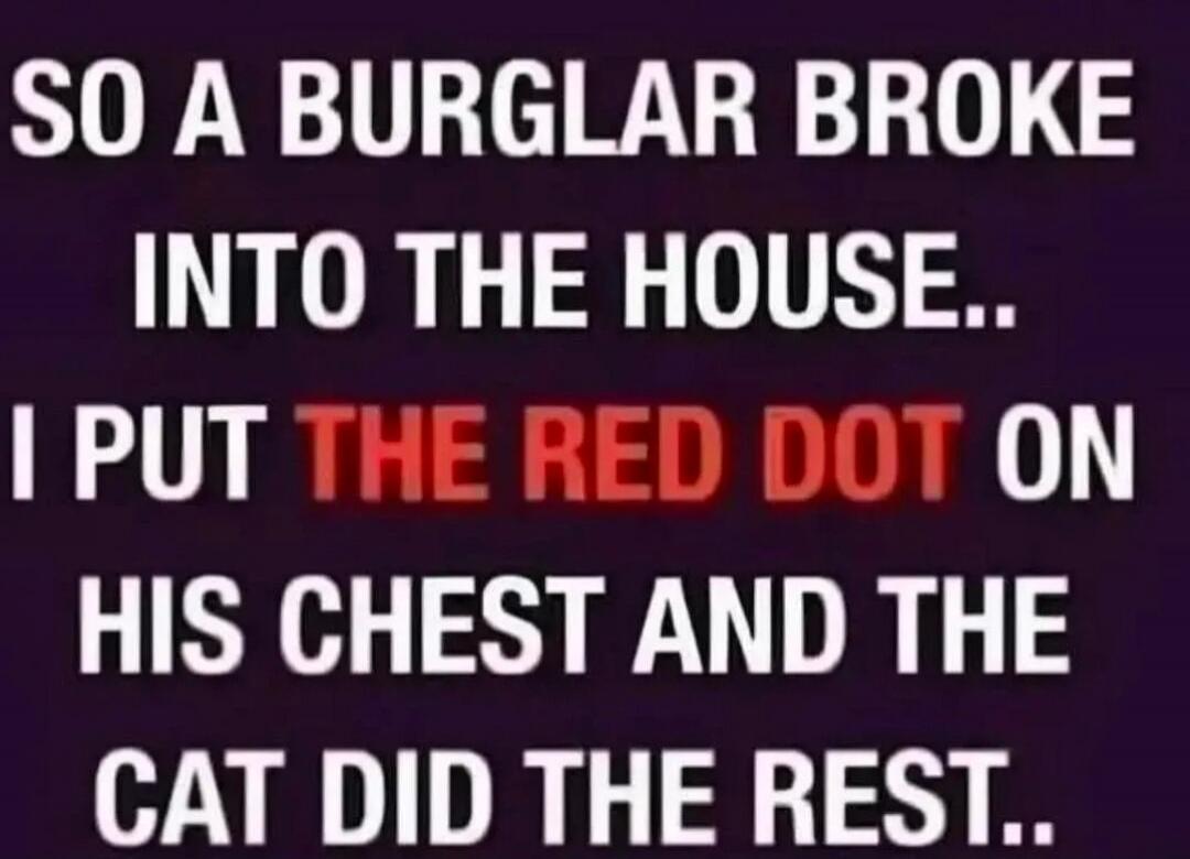 SO A BURGLAR BROKE INTO THE HOUSE.. I PUT THE RED DOT ON HIS CHEST AND THE CAT DID THE REST..