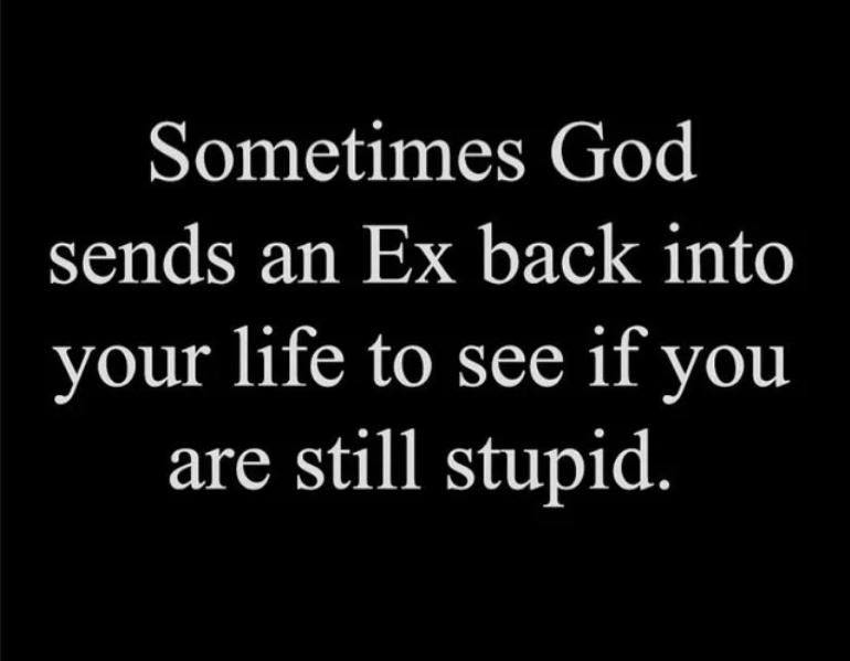 Sometimes God sends an Ex back into your life to see if you are still stupid