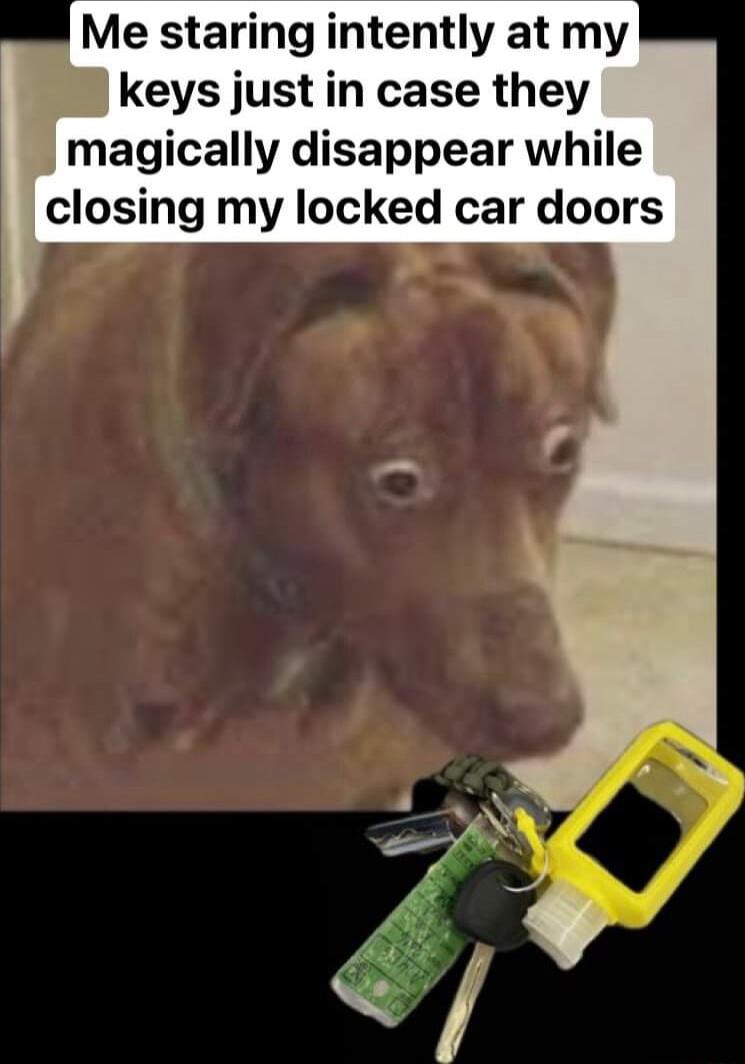 Me staring intently at my keys just in case they magically disappear while closing my locked car doors
