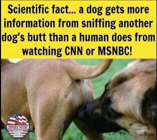 Scientific fact... a dog gets more information from sniffing another dog's butt than a human does from watching CNN or MSNBC!