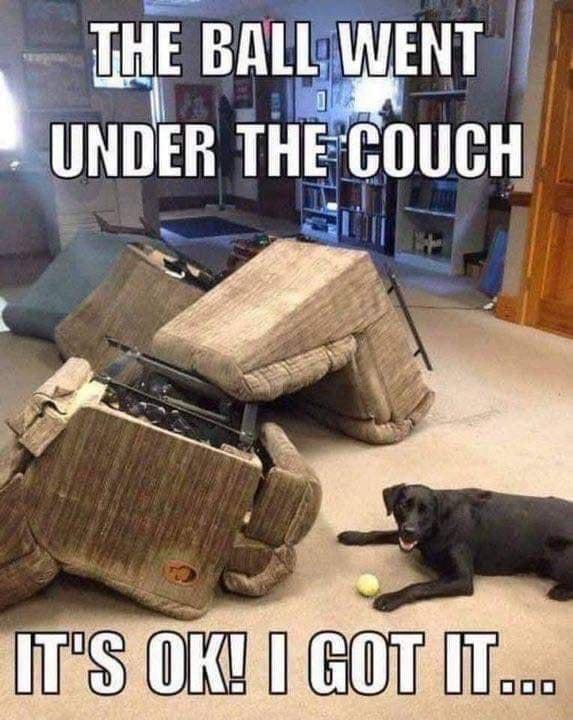 s MTBAIWENT o UNDER THE COUCH ESTRlGoT
