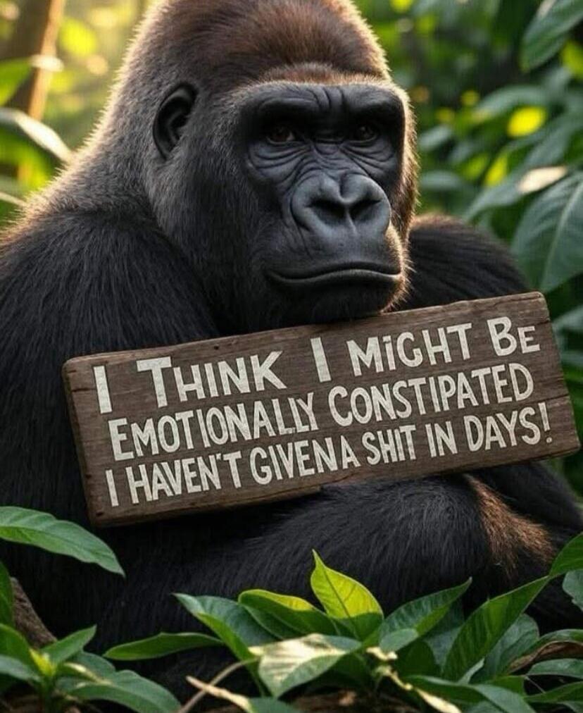 I think I might be emotionally constipated I haven't given a shit in days!