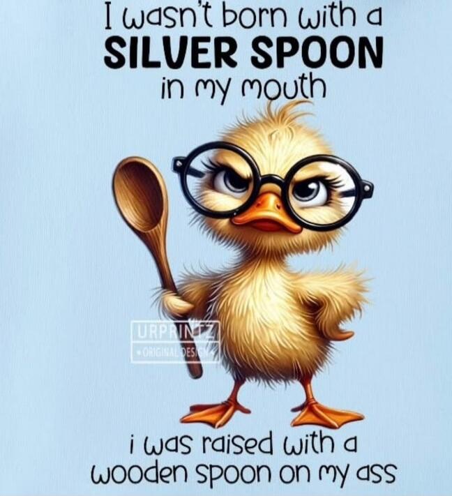 I wasn't born with a SILVER SPOON in my mouth i was raised with a wooden spoon on my ass