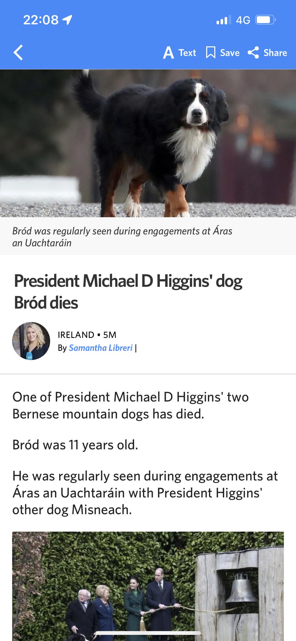 Brd was regularly seen during engagements at Aras an Uachtardin President Michael D Higgins dog Brod dies RELAND 5M By One of President Michael D Higgins two Bernese mountain dogs has died Brd was 11 years old He was regularly seen during engagements at Aras an Uachtarain with President Higgins other dog Misneach