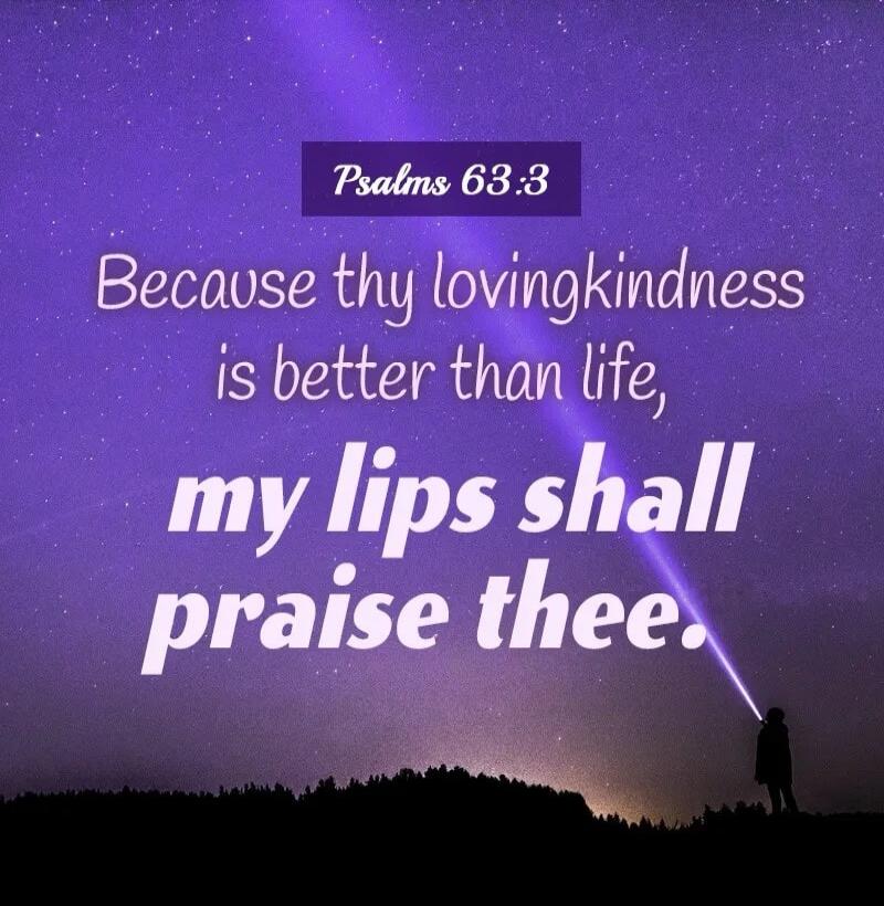 Psalms 63:3 Because thy lovingkindness is better than life, my lips shall praise thee.