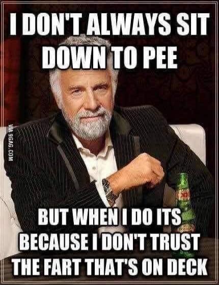 I DON'T ALWAYS SIT DOWN TO PEE BUT WHEN I DO ITS BECAUSE I DON'T TRUST THE FART THAT'S ON DECK