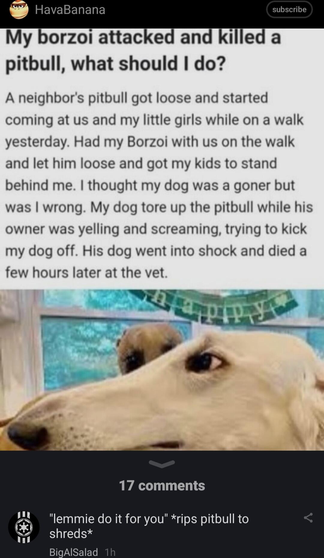 My OIZOI attace an Il e a pitbull what should do A neighbors pitbull got loose and started coming at us and my little girls while on a walk yesterday Had my Borzoi with us on the walk and let him loose and got my kids to stand behind me thought my dog was a goner but was wrong My dog tore up the pitbull while his owner was yelling and screaming trying to kick my dog off His dog went into shock and
