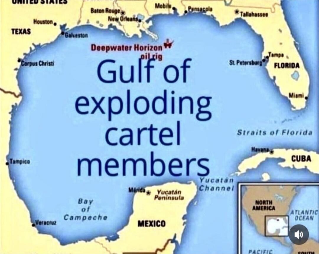 Gulf of exploding cartel members
Deepwater Horizon oil spill