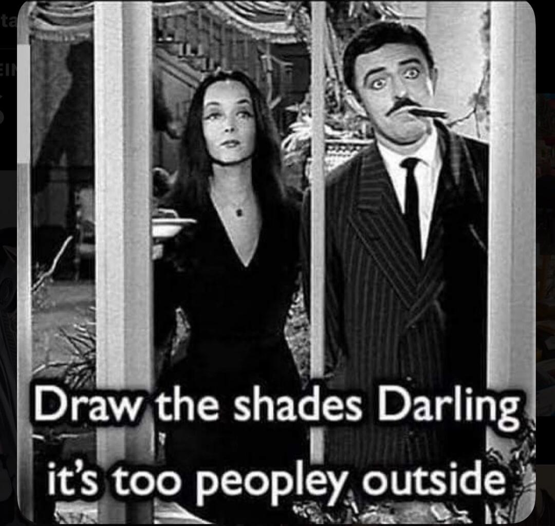 Draw the shades Darling it's too peopley outside