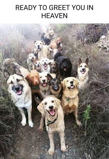 READY TO GREET YOU IN HEAVEN