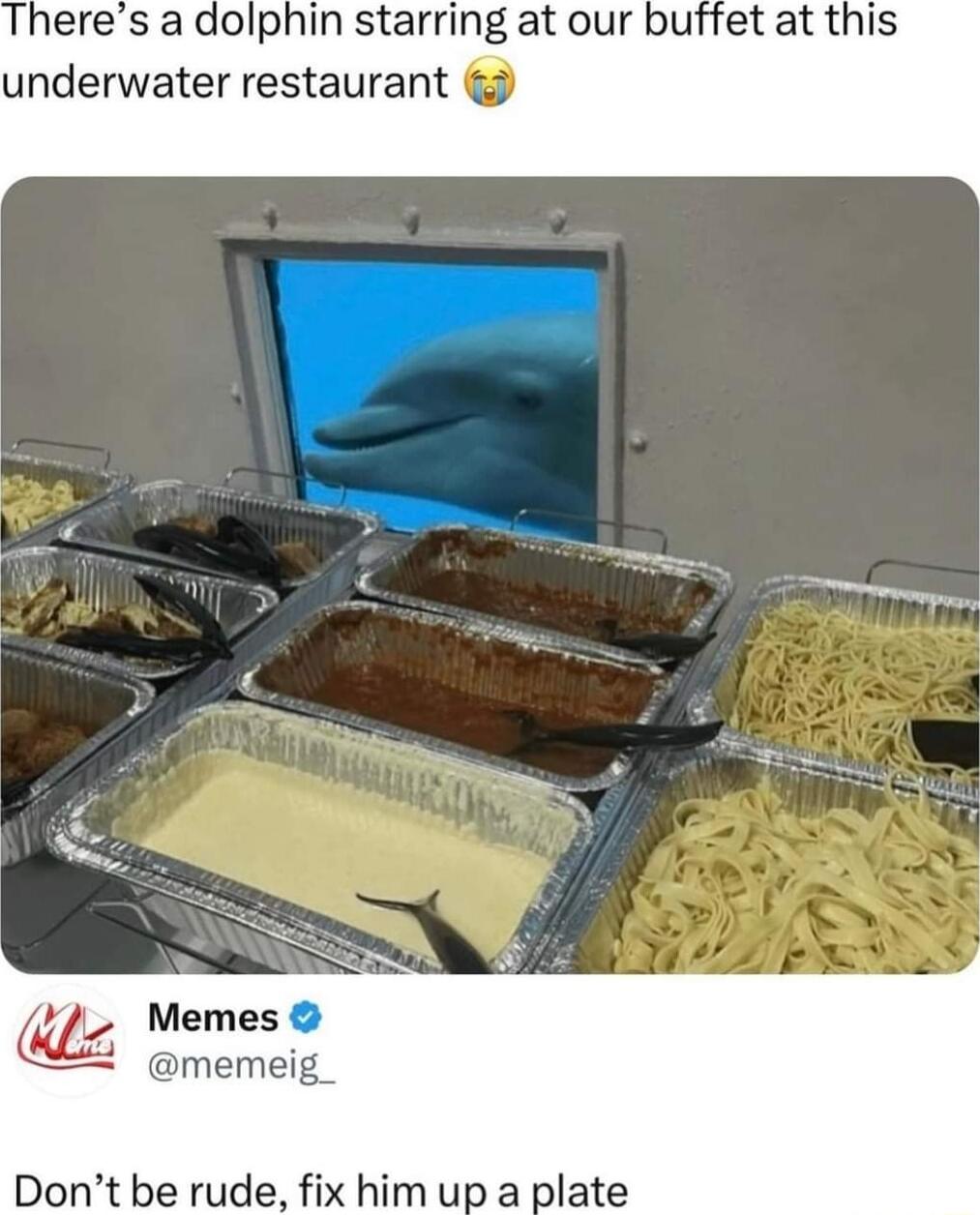 Theres a dolphin starring at our buffet at this underwater restaurant memeig_ Dont be rude fix him up a plate