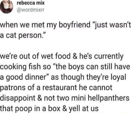 rebecca mix wordmixer when we met my boyfriend just wasnt a cat person were out of wet food hes currently cooking fish so the boys can still have a good dinner as though theyre loyal patrons of a restaurant he cannot disappoint not two mini hellpanthers that poop in a box yell at us